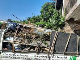 Best Office Cleanout  in Pleasanton, KS